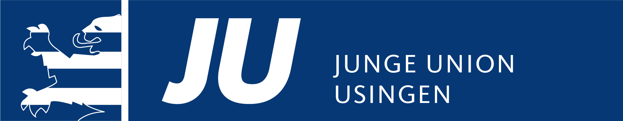 Logo von Junge Union Usingen